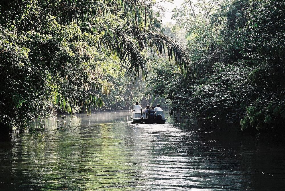 Bote en un canal del Parque Nacional Tortuguero, Costa Rica